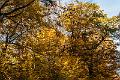 2015_10_30 (0067)